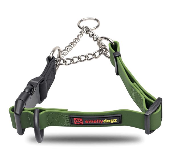 Martingale Collar smellydogz