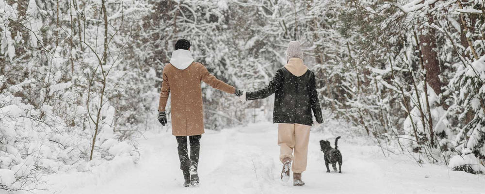 11 Tips For Walking Your Dog In The Winter Enjoying Winter With Your Smellydogz