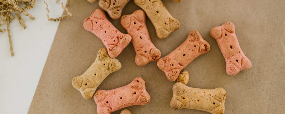 Four Easy and Delicious Homemade Dog Treat Recipes How to Make Dog Treats