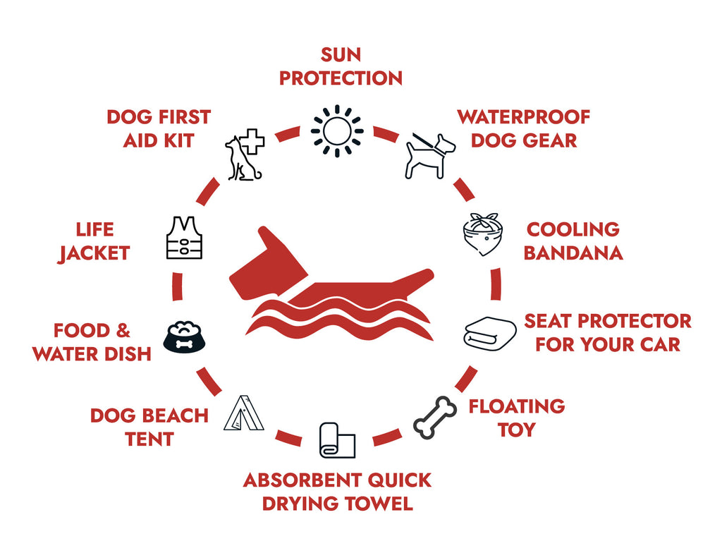 Best Dog Gear for a Day at the Beach smellydogz