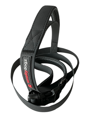Adjustable Double Handle Leash