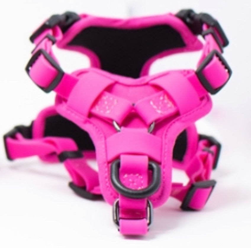 pinkgroup