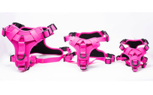 pinkgroup
