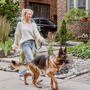 Adjustable Double Handle Leash
