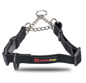 Martingale Collar