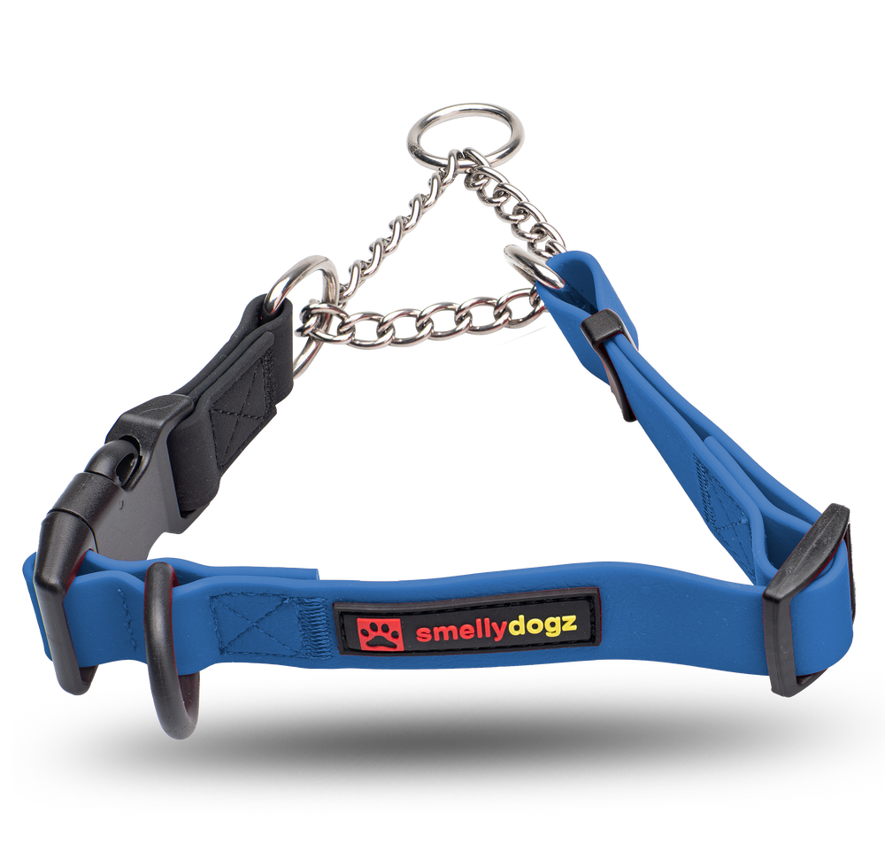 Martingale Collar