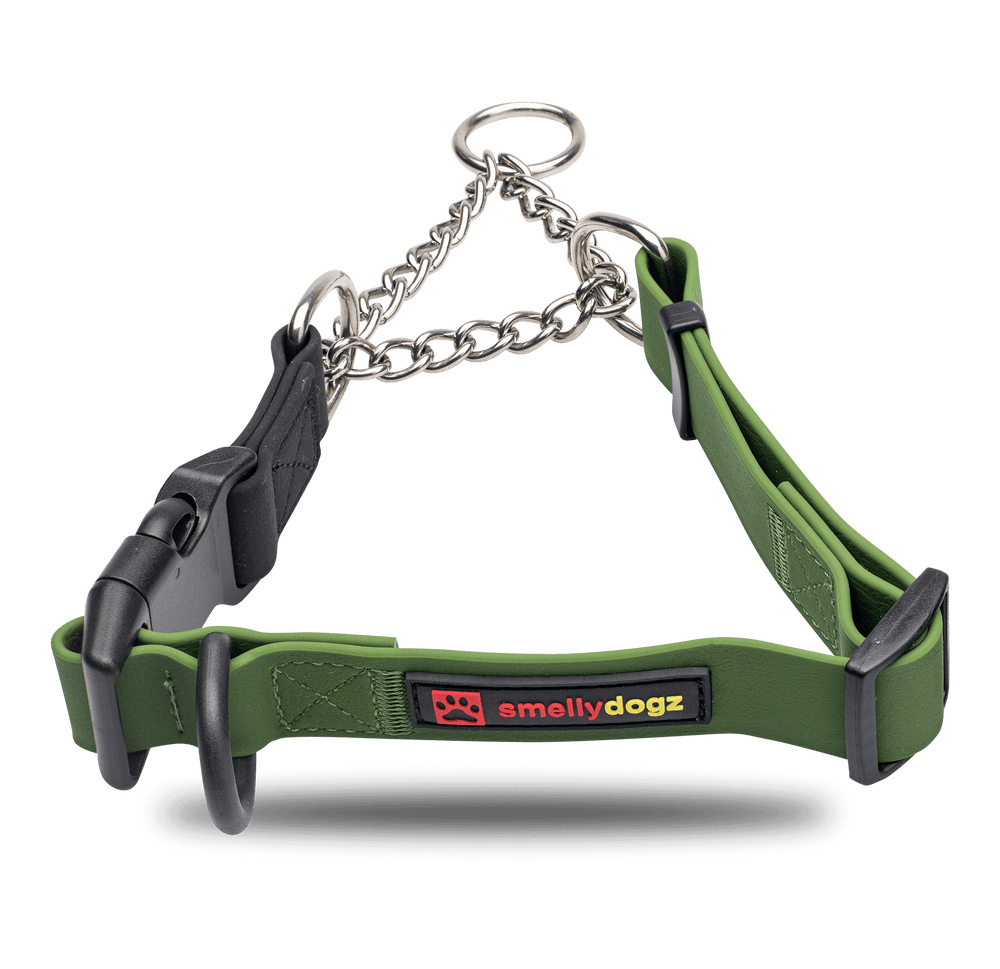 Martingale Collar