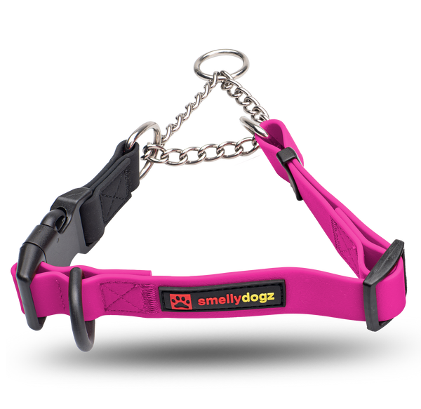 Martingale Collar smellydogz