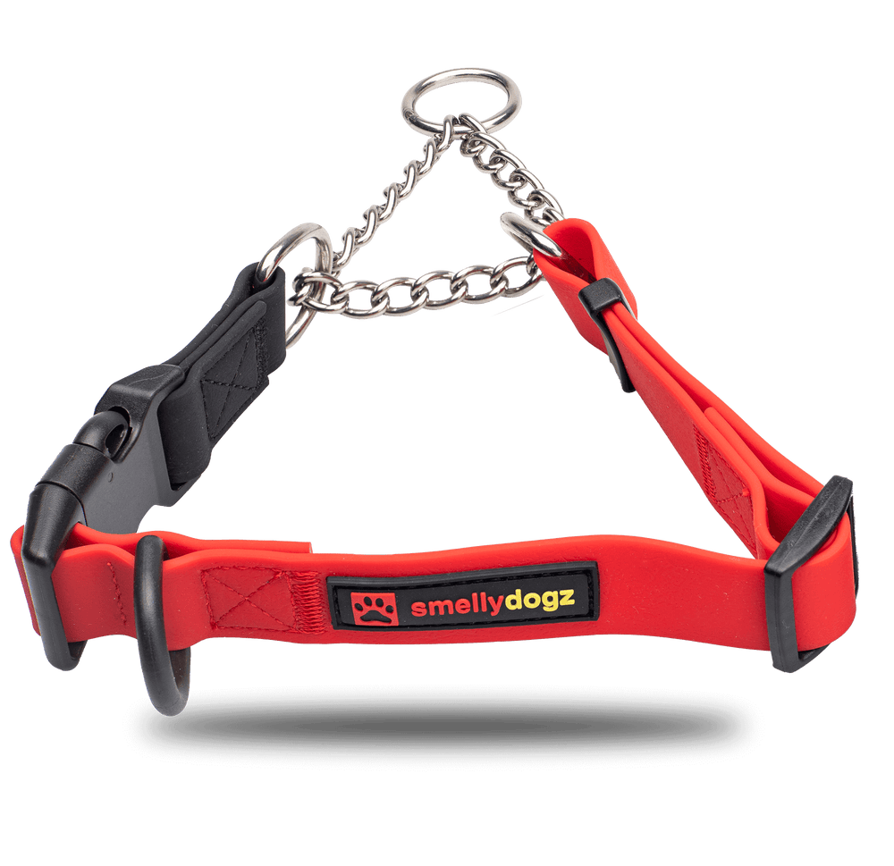 Martingale Collar