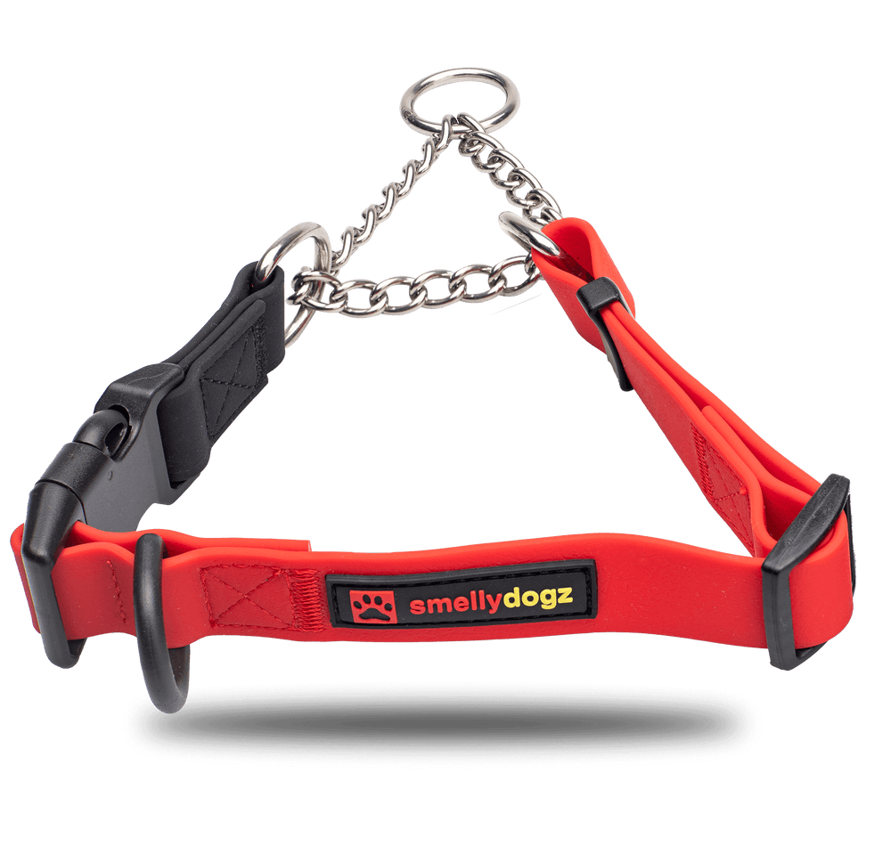 What is a Martingale Dog Collar: Ultimate Guide for Pet Owners