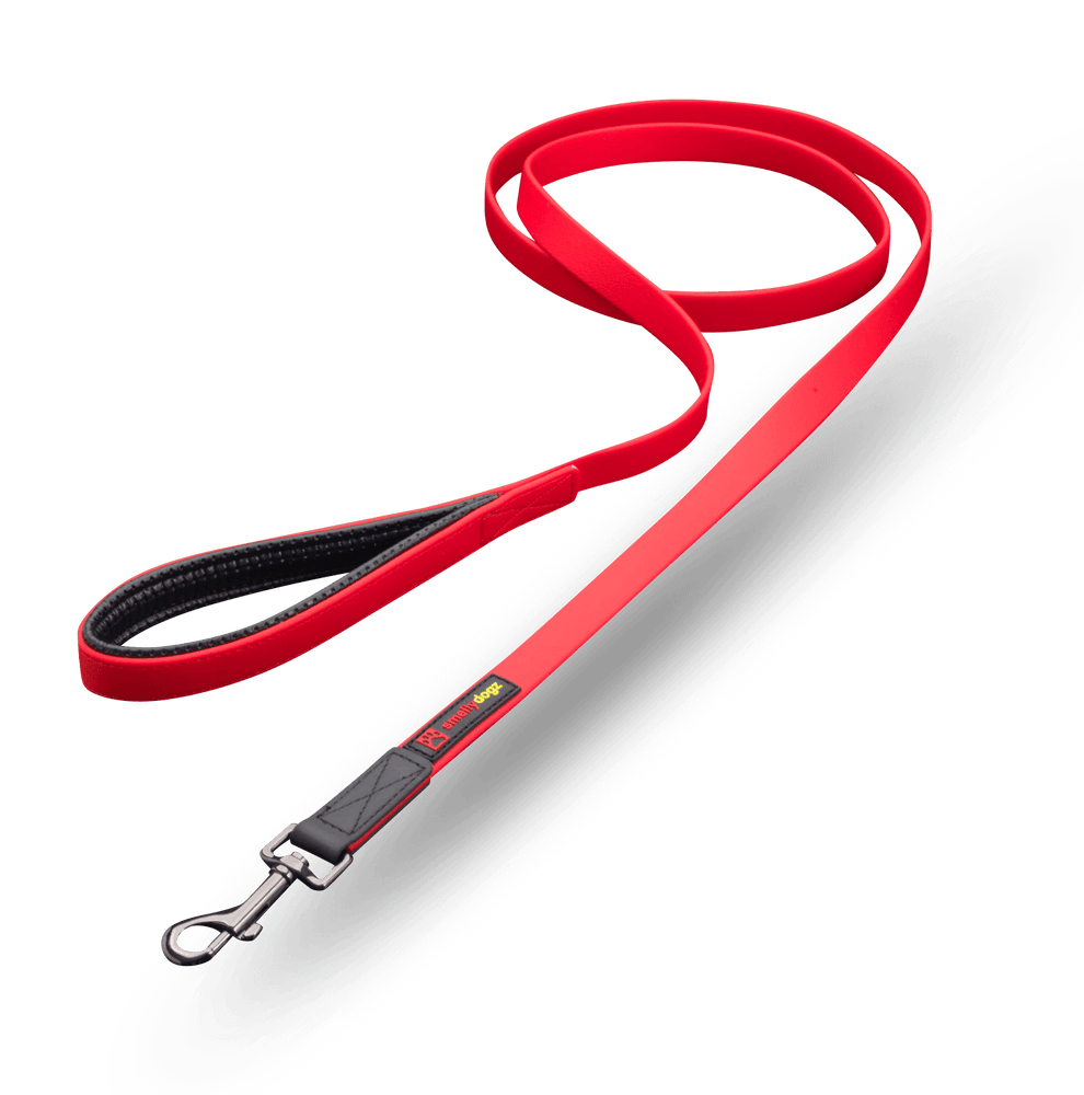 The Comfort Lead