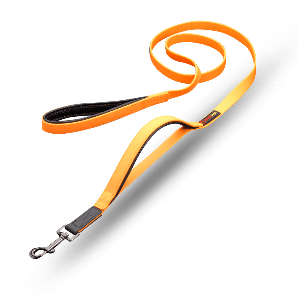 The Double Handle Lead