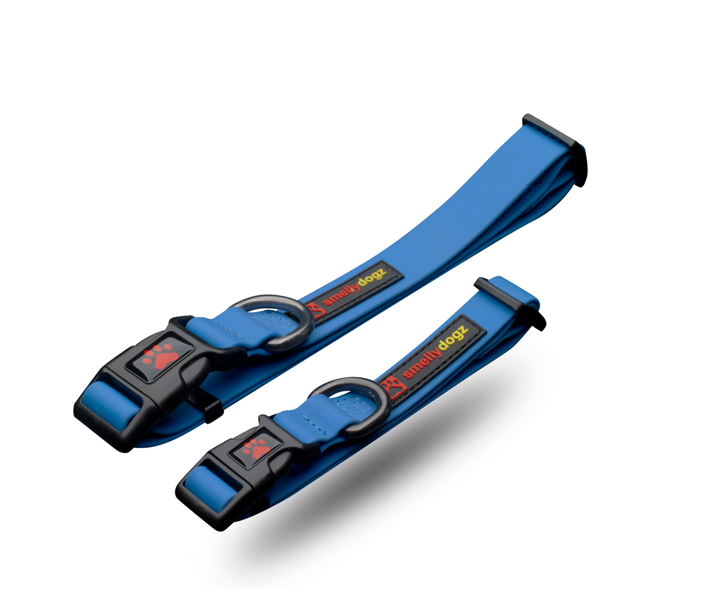 Dog comfort collar hot sale